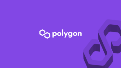 Polygon pretende entregar el control a su comunidad con un centro de gobernanza