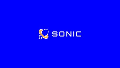 La TestNet de Sonic logro alcanzar los 100 mil monederos