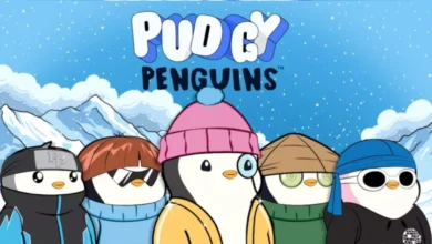 Pudgy Penguins NFTs