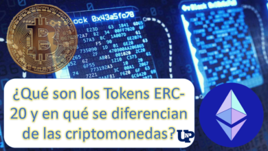 ¿Qué son los Tokens ERC-20 y en qué se diferencian de las criptomonedas?