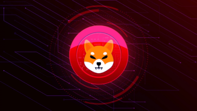 Shiba Inu (SHIB) cae un 10% al mismo tiempo que caen las memecoins