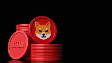 Shiba Inu mueve 327 millones de monedas a la vez que aumenta la tasa de quema de tokens