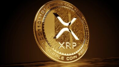 ¿Cuándo se aprobaría un ETF de XRP? La probabilidad es alta